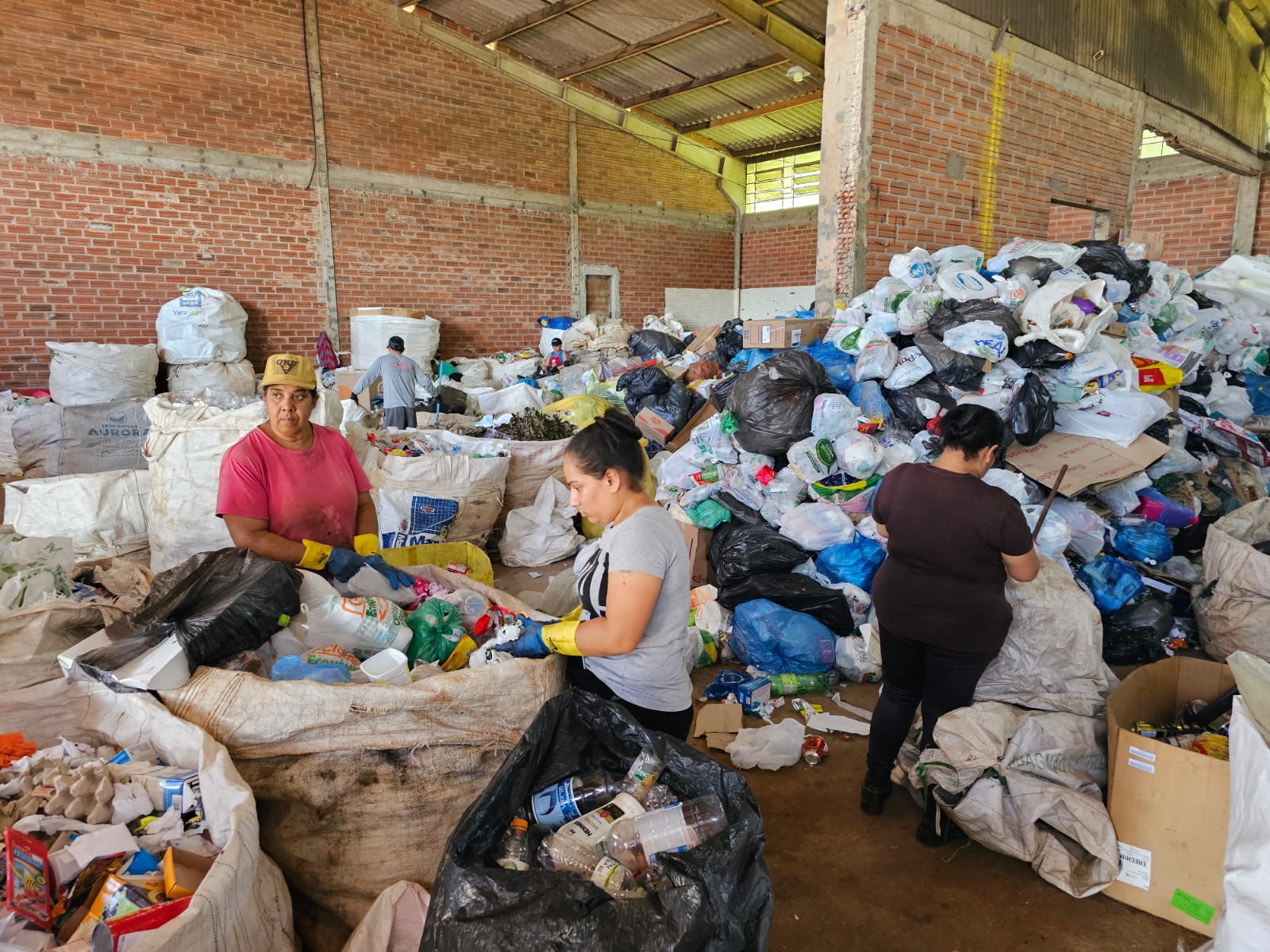 Município tem oito associações de recicladores ARCAN, ARFIN, ACRFN, Cidade Limpa, Filhos do Rei, Reciclando, Reviver e Unidos, formadas por cerca de 100 famílias, que realizam, diariamente, a triagem dos resíduos recicláveis descartados pela população