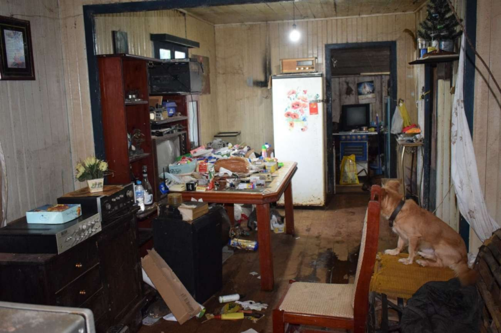 A atuação teve início após o recebimento de uma denúncia relacionada a maus-tratos a animais. Ao se deslocarem até o local, os policiais militares, acompanhados por servidores da área da saúde do município e por um médico veterinário, constataram uma situação extrema: uma residência em condições totalmente insalubres, onde vivia um homem com transtornos mentais. No interior do imóvel, foi identificado um ambiente de grande degradação, com acúmulo de sujeira e ausência de condições mínimas de higiene. No local residiam o homem e diversos animais domésticos e silvestres. Foram encontrados gatos, quatro cães, seis gambás e um lagarto, sendo os animais silvestres mantidos em cativeiro irregular, sem autorização do órgão ambiental competente. A equipe constatou ainda odor fétido e acúmulo de dejetos, evidenciando risco à saúde dos moradores e dos animais.