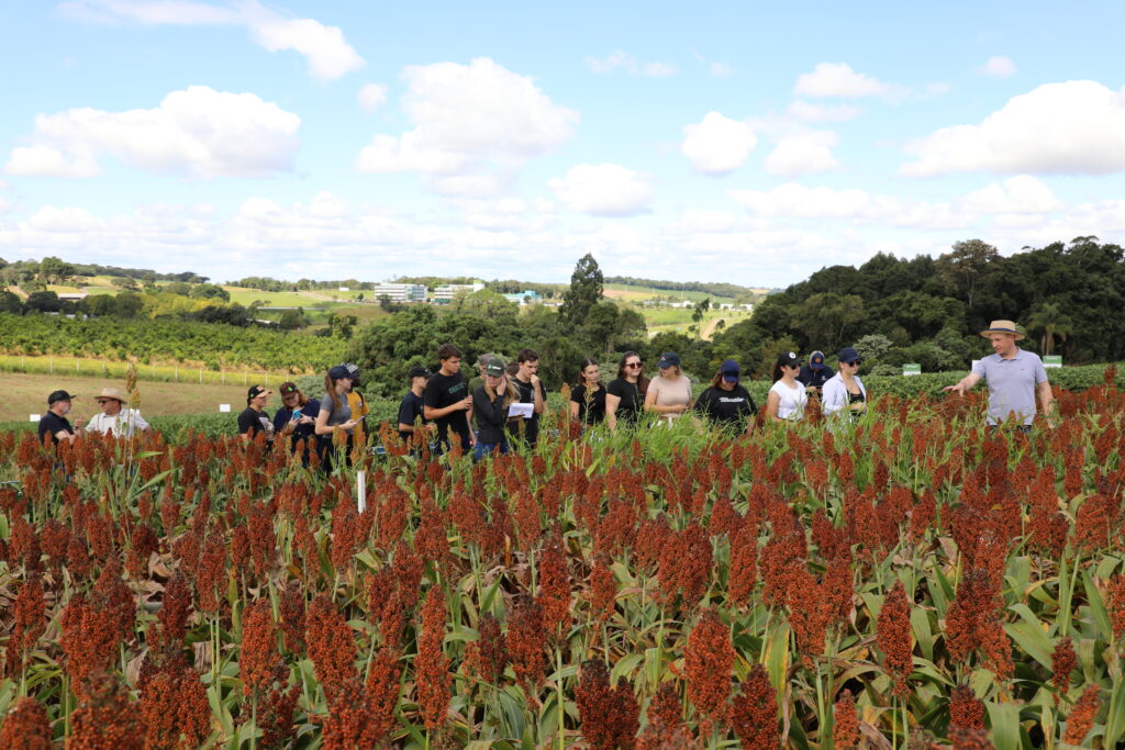 As áreas experimentais da Universidade Federal da Fronteira Sul (UFFS), no Campus de Erechim, com mais de 50 hectares de área, vêm se firmando como um verdadeiro laboratório a céu aberto, onde ensino, pesquisa e extensão se encontram para impulsionar o desenvolvimento da agricultura e da pecuária regional. Um exemplo concreto dessa integração é a realização do III Agronomia em Campo, ocorrido na tarde do dia 31 de março de 2026.